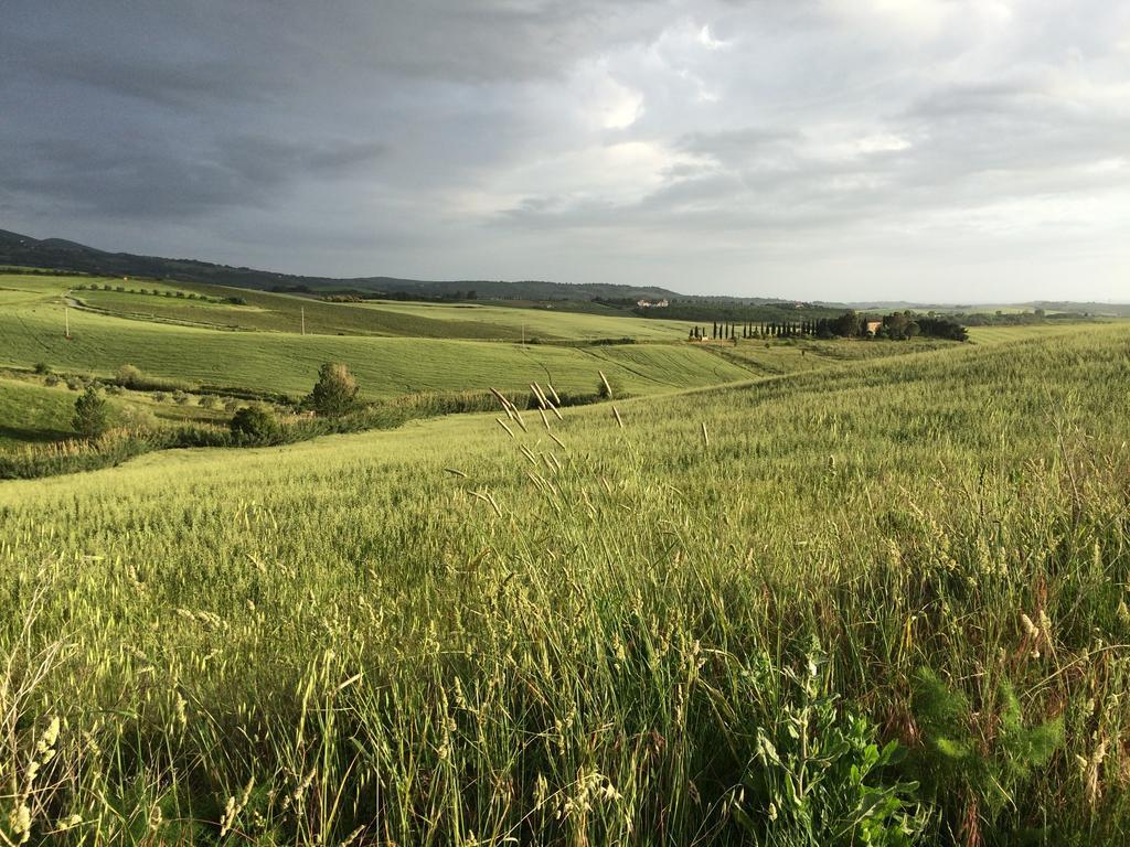 La Locanda Del Barbagianni Santa Luce Zewnętrze zdjęcie