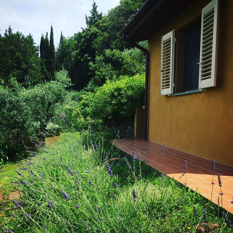 La Locanda Del Barbagianni Santa Luce Zewnętrze zdjęcie